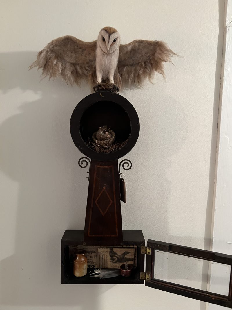 Owl - Image 5