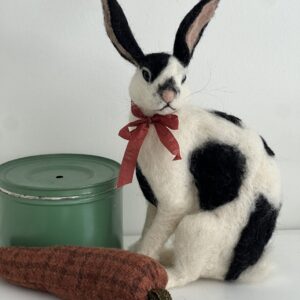 Black and White Rabbit