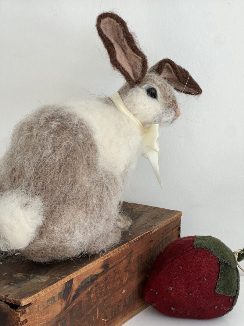 Fuzzy Rabbit - Image 2