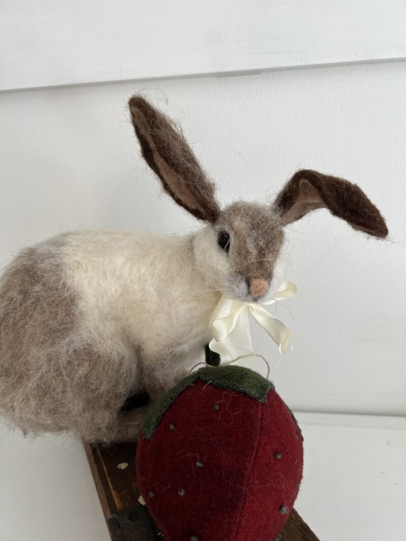 Fuzzy Rabbit - Image 3