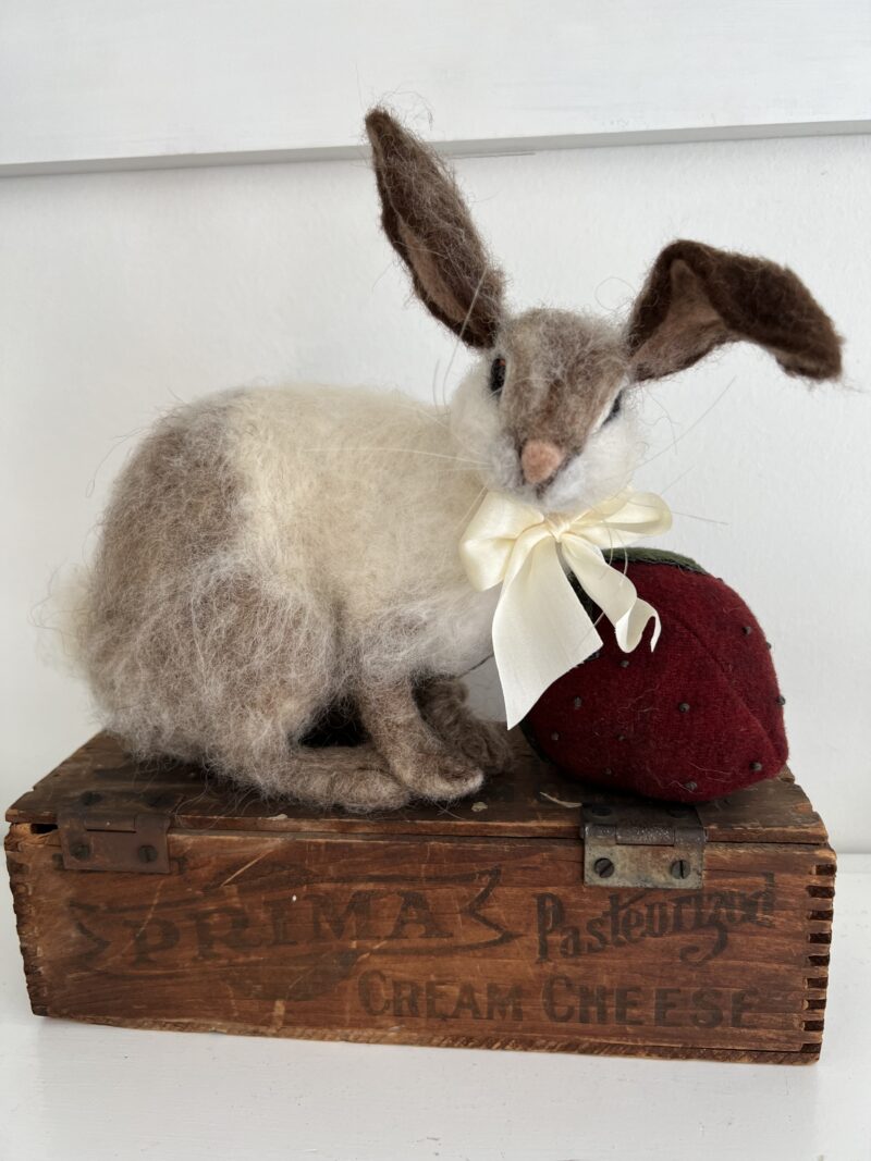 Fuzzy Rabbit