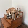Kitty cat and mouse - Image 4