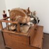 Kitty cat and mouse - Image 3