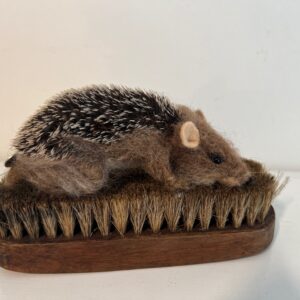 Hedgehog on Brush